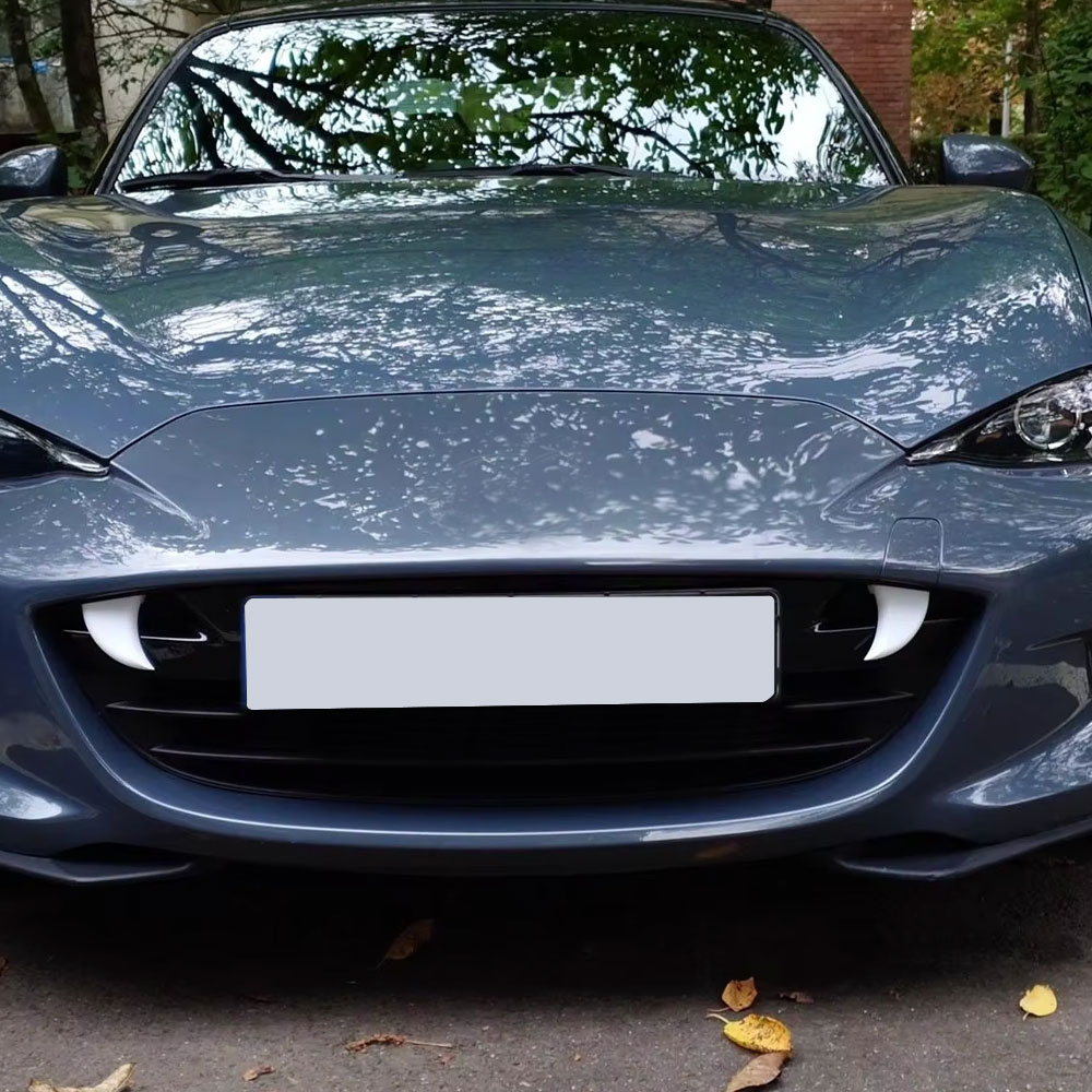 2 stuks auto voorrooster styli - 3D Printing Car recensie en prijs