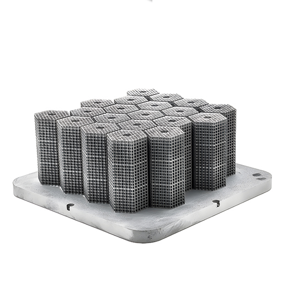 Klantspecifieke SLM 3D-printdi - 3D Printing For Medical recensie en prijs
